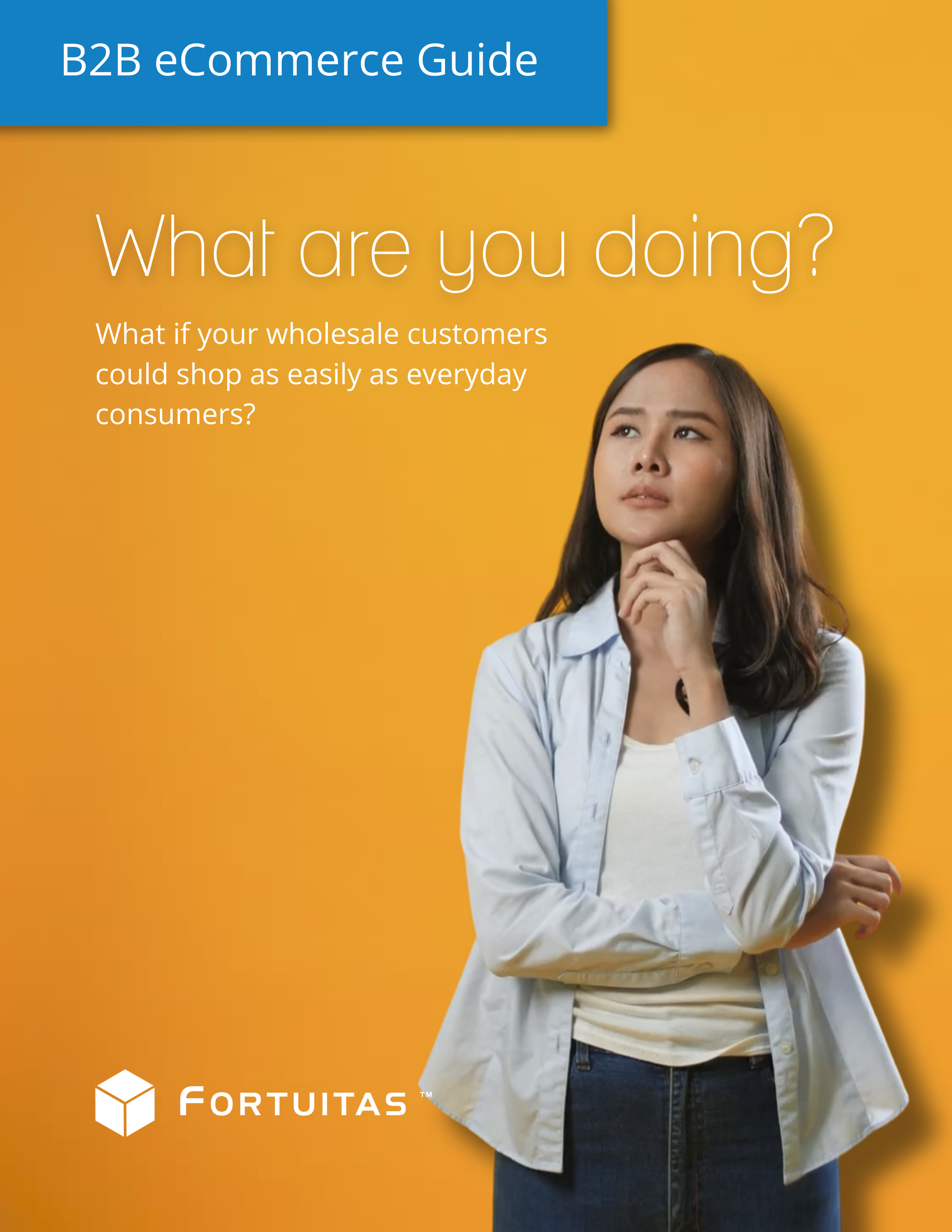 B2B eCommerce Guide